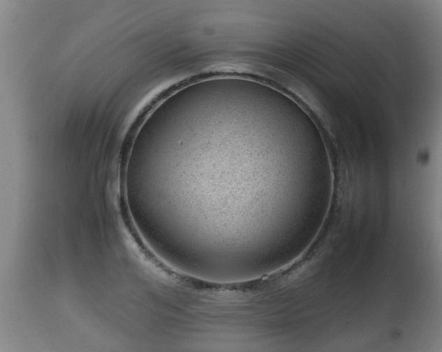 X0000112810984200908281503