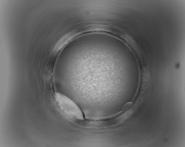 X0000112810985200908281503