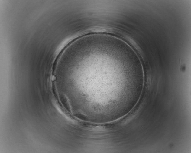 X0000112810986200908281503