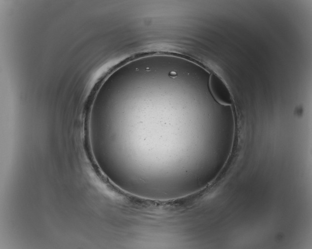 X0000112810987200908281503
