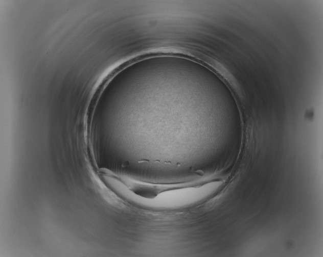 X0000112810988200908281503