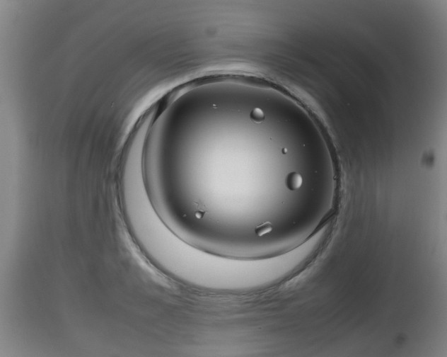 X0000112810989200908281503