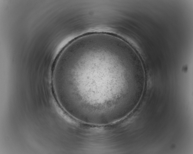 X0000112810990200908281503