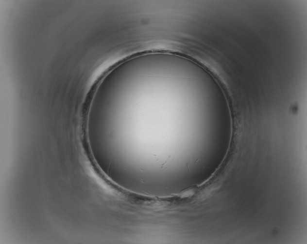 X0000112810991200908281503