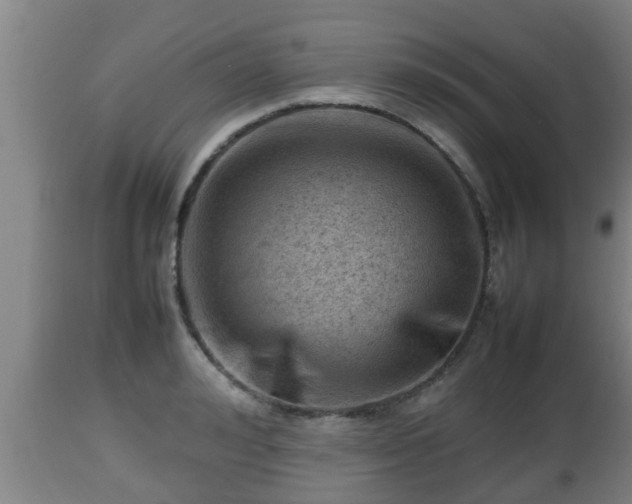 X0000112810992200908281503