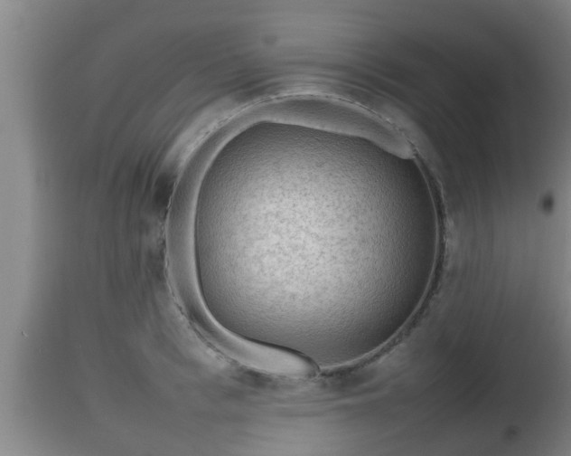 X0000112810993200908281503
