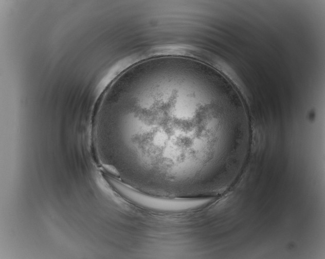 X0000112810994200908281503