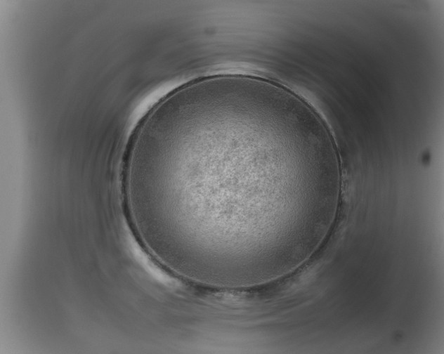 X0000112810995200908281503