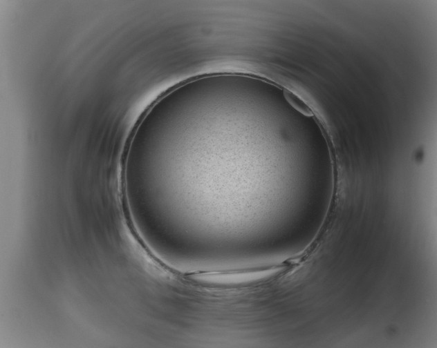 X0000112810996200908281503