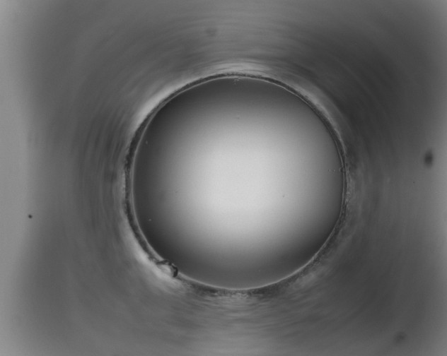 X0000112810999200908281503