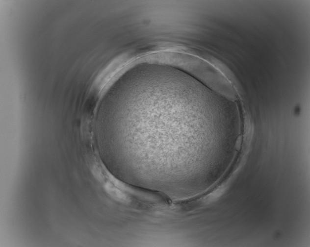 X0000112811001200908281503