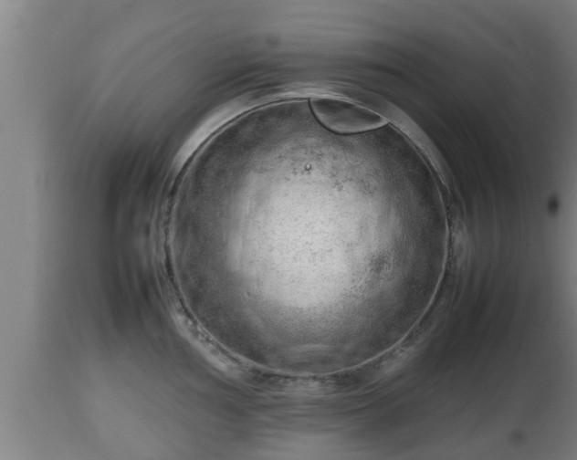 X0000112811002200908281503