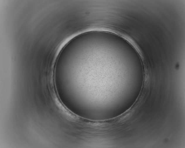 X0000112811004200908281503