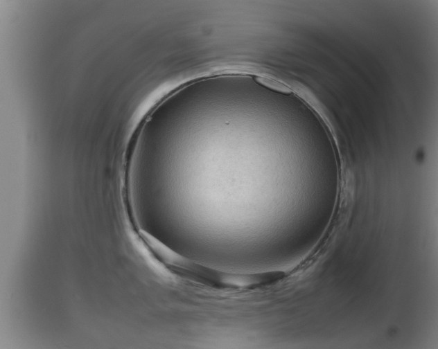 X0000112811005200908281503