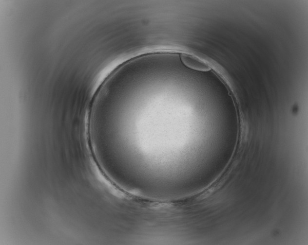 X0000112811006200908281503