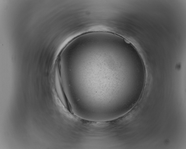 X0000112811008200908281503