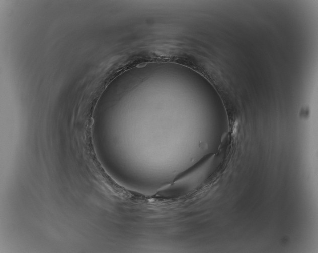 X0000112811009200908281502