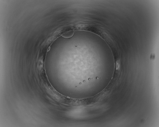 X0000112811011200908281502