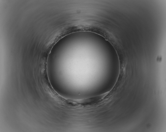 X0000112811012200908281502