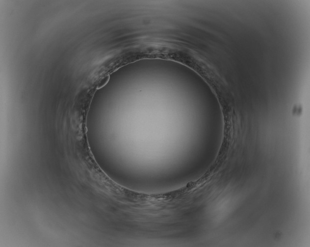 X0000112811013200908281502
