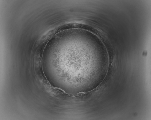 X0000112811014200908281502