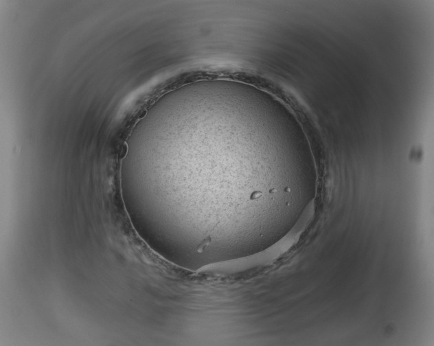 X0000112811016200908281502