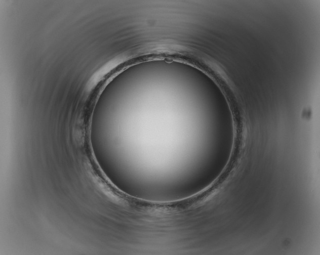 X0000112811018200908281502