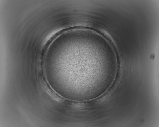 X0000112811019200908281502