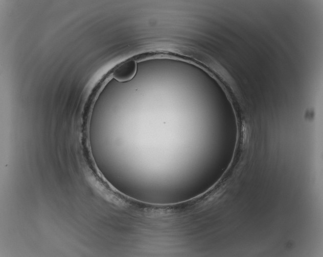 X0000112811020200908281502