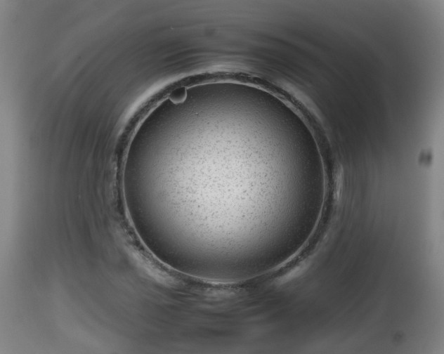 X0000112811021200908281502