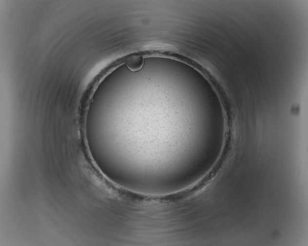 X0000112811022200908281502