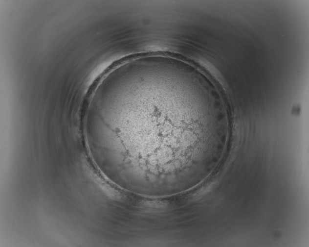 X0000112811023200908281502