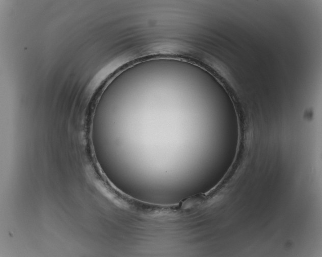 X0000112811026200908281502
