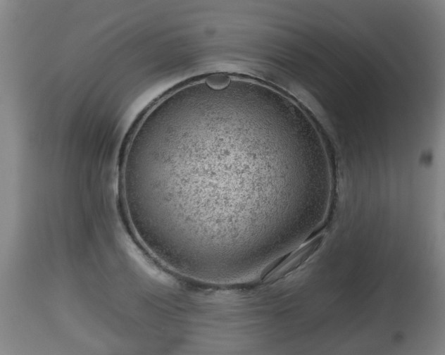 X0000112811028200908281502