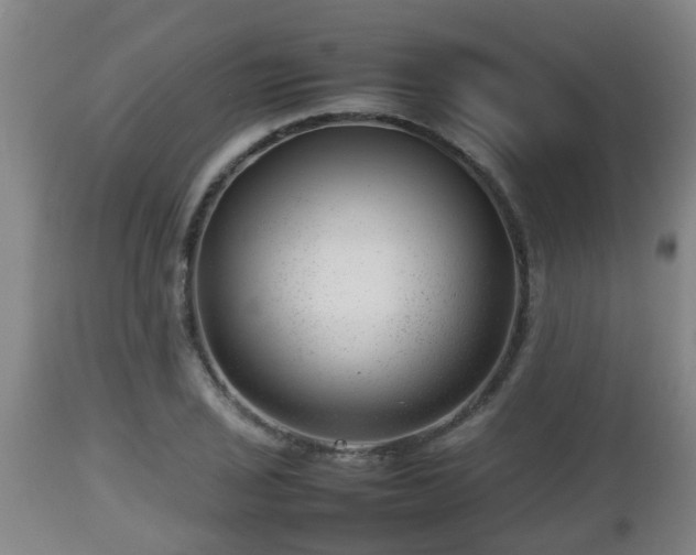 X0000112811029200908281502