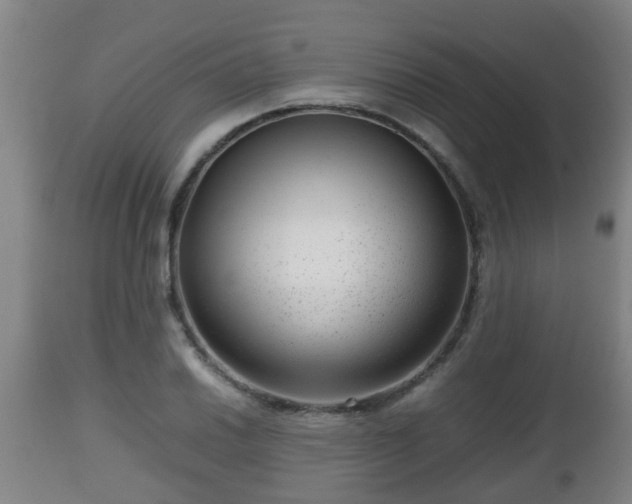 X0000112811030200908281502