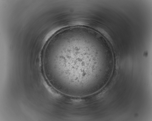 X0000112811031200908281502