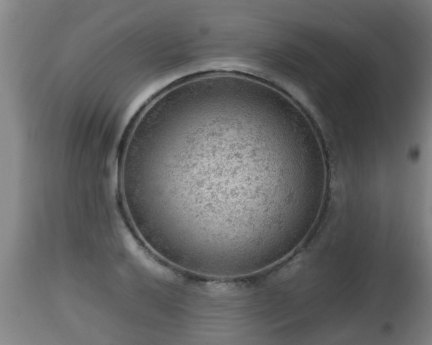 X0000112811032200908281502