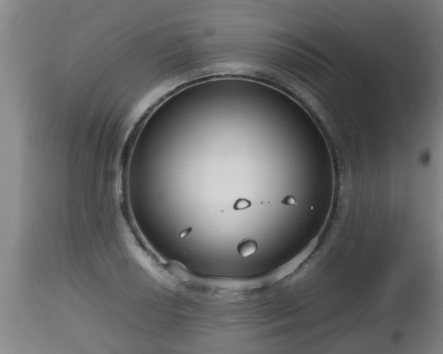 X0000112811034200908281502