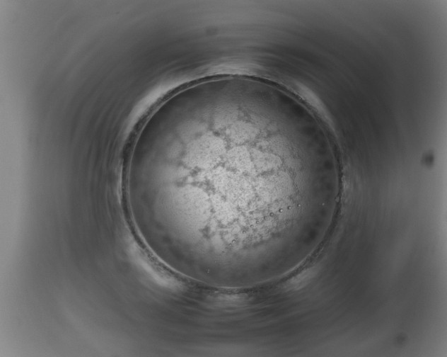 X0000112811035200908281502