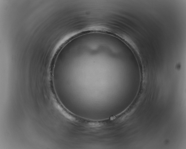 X0000112811037200908281502