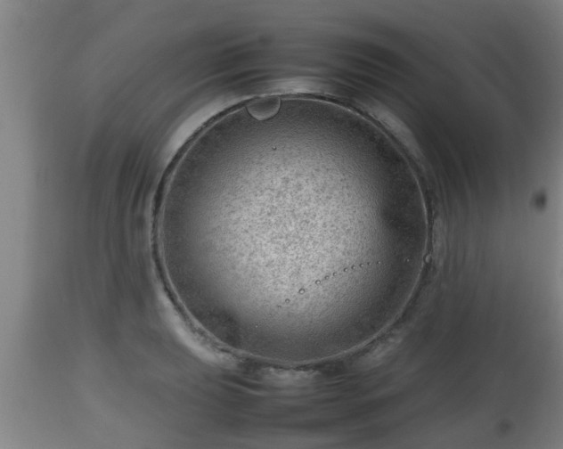 X0000112811039200908281502