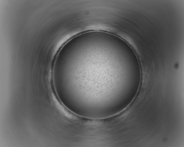 X0000112811040200908281502