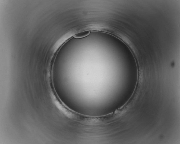 X0000112811042200908281502