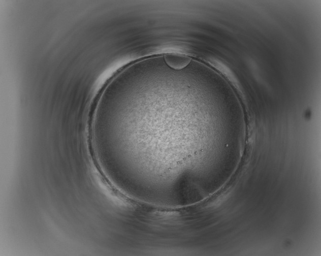 X0000112811043200908281502