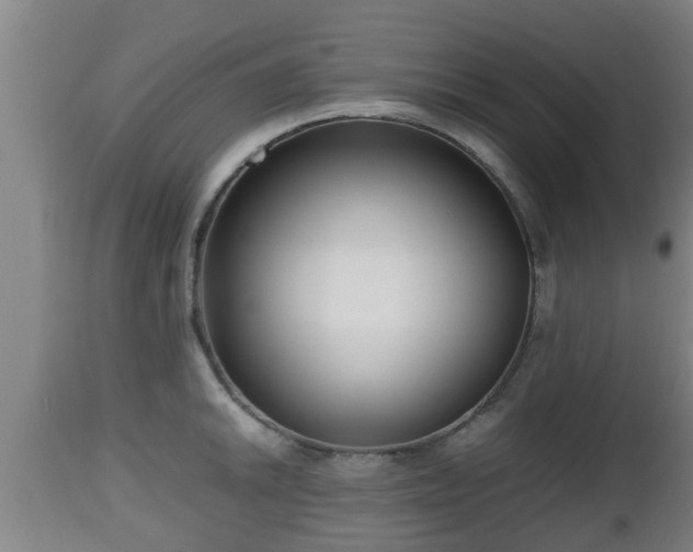 X0000112811046200908281503