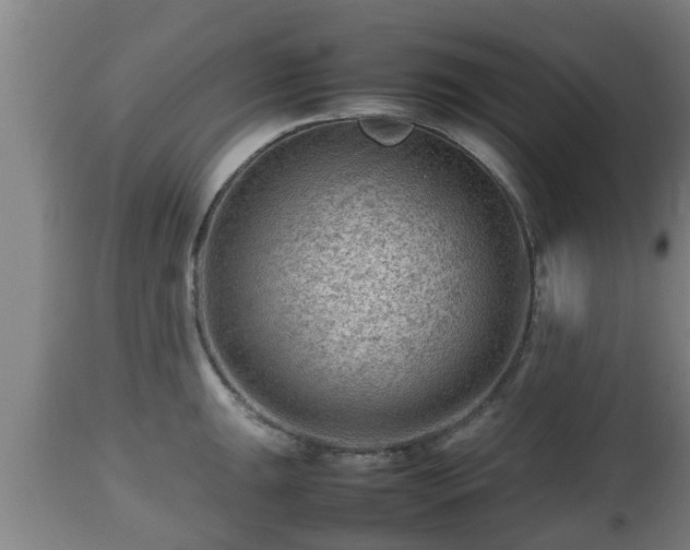 X0000112811047200908281503