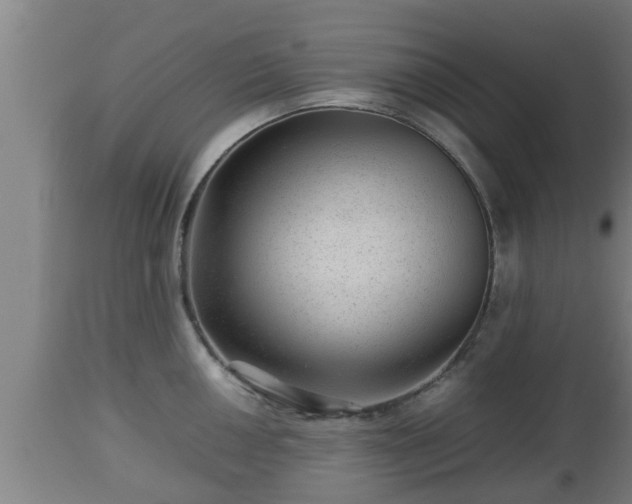 X0000112811050200908281503