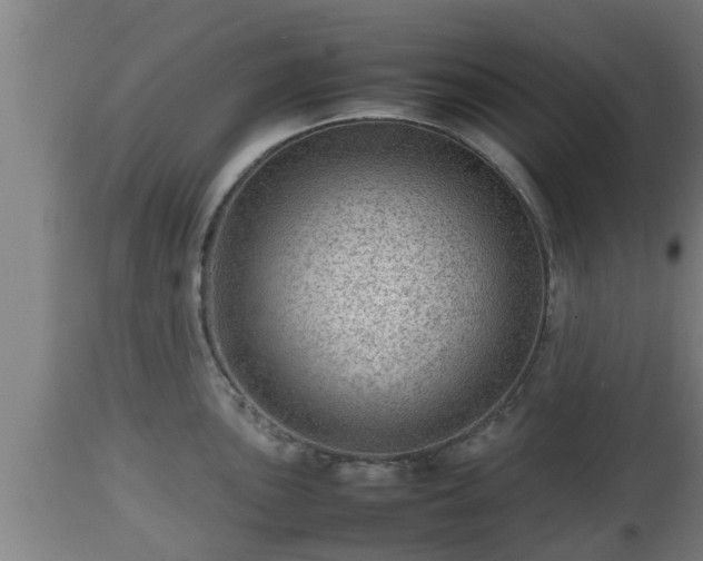 X0000112811051200908281503