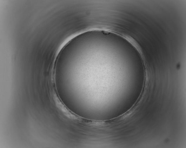 X0000112811052200908281503